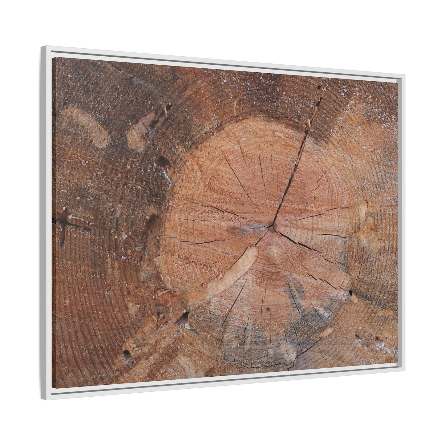 Concentric Memories - Unique Stretched Canvas Wall Art