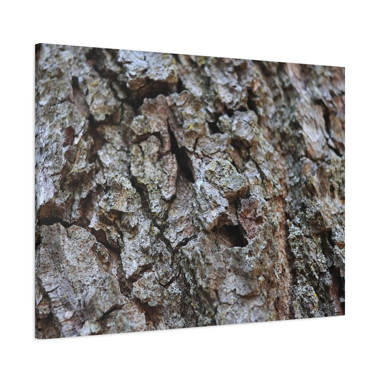 Cracked Echoes - Unique Frameless Canvas Wall Art