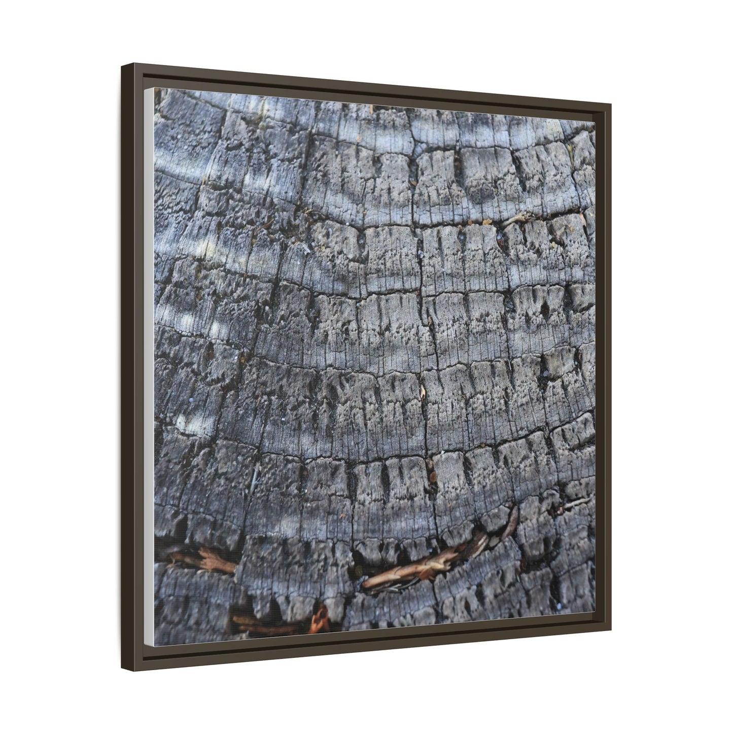 Charred Memories - Unique Stretched Canvas Wall Art