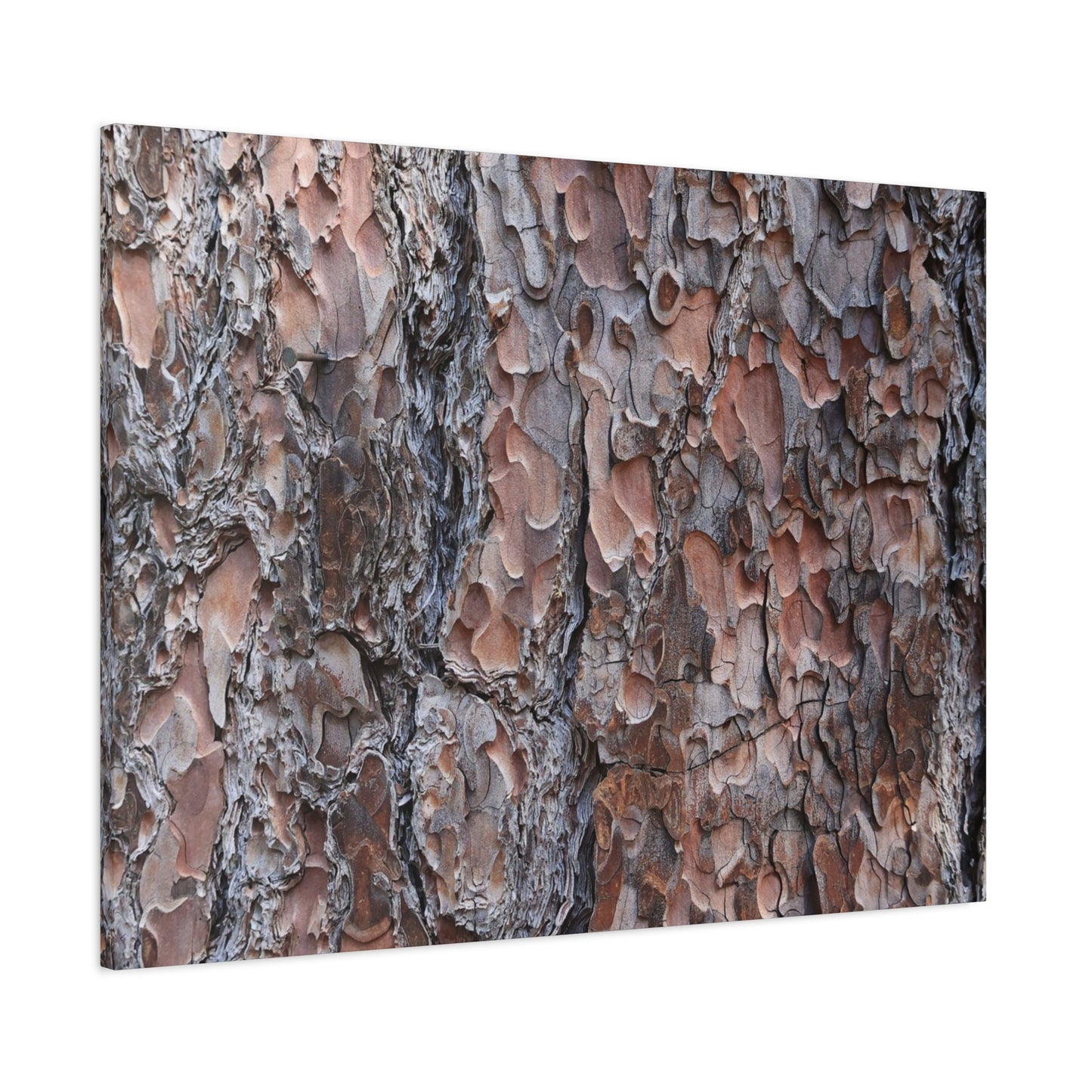 Woodland Armor - Unique Frameless Canvas Wall Art