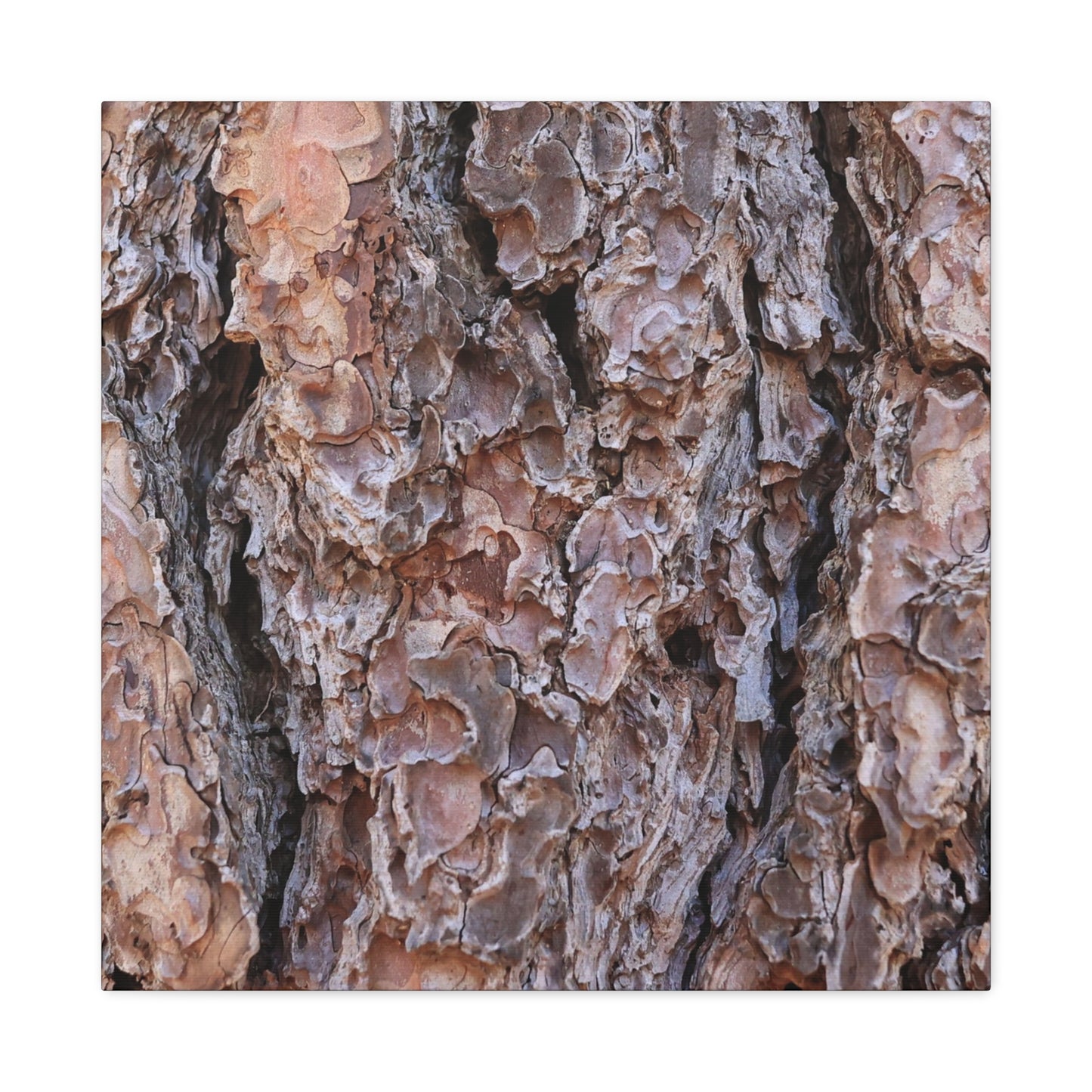 Rough Canvas - Unique Frameless Canvas Wall Art