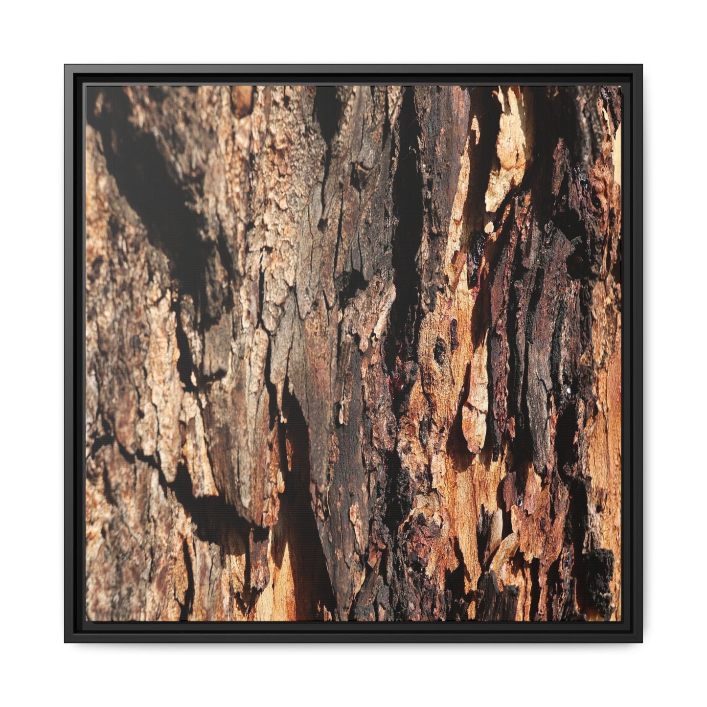 Rugged Beauty - Unique Stretched Canvas Wall Art