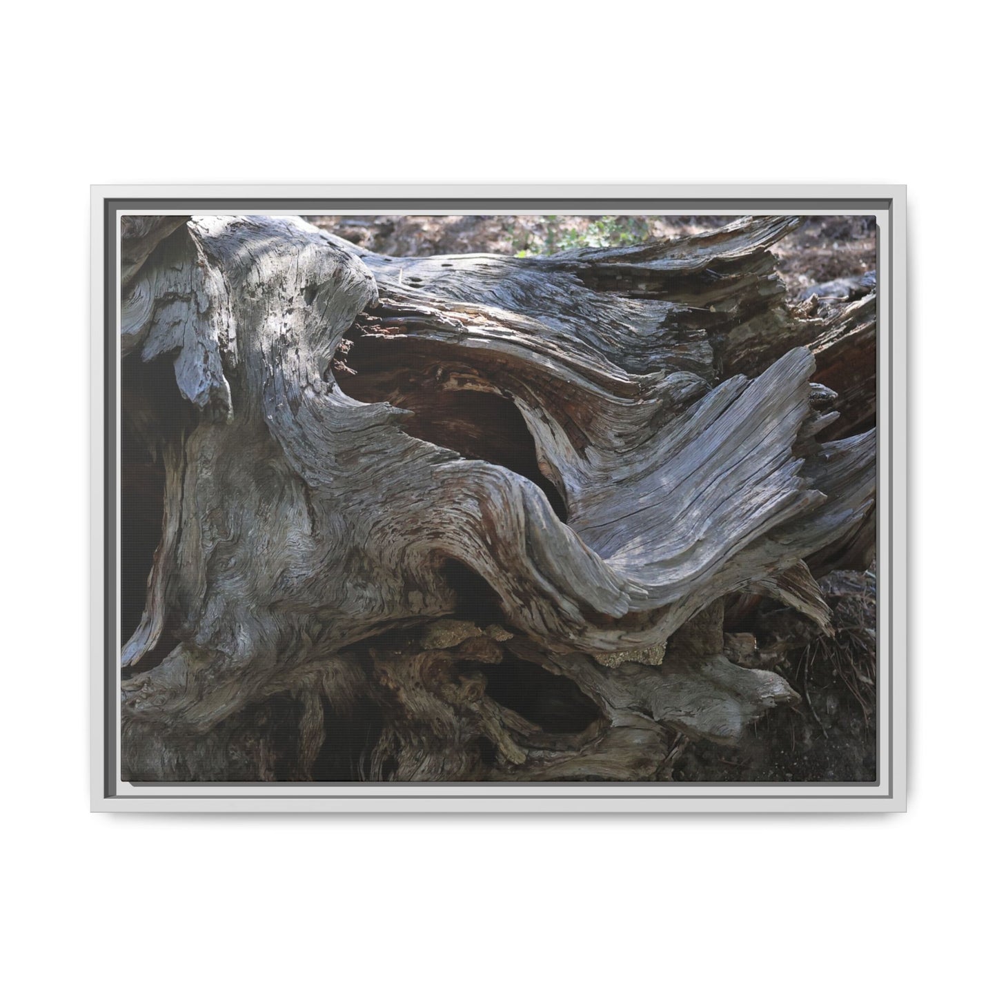 Twisted Memories - Unique Stretched Canvas Wall Art