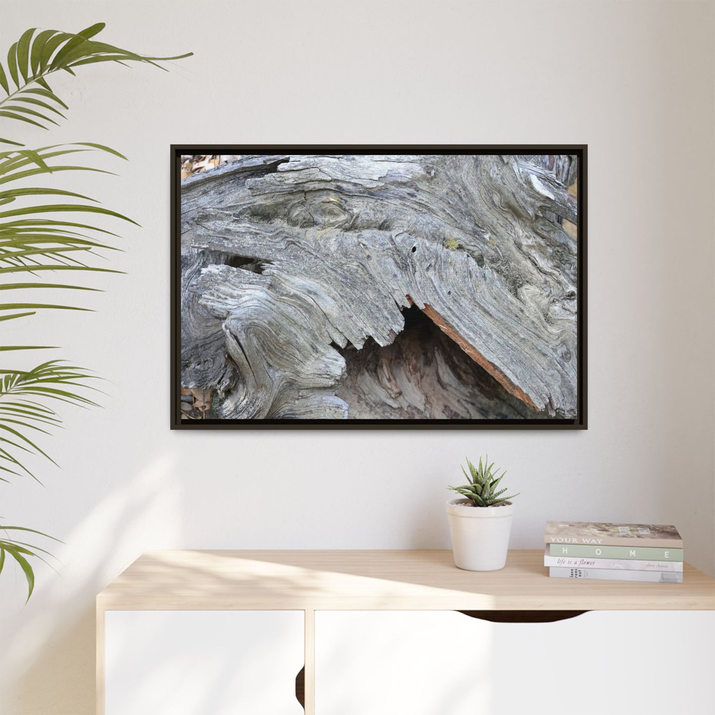 Driftwood Dreams - Unique Stretched Canvas Wall Art