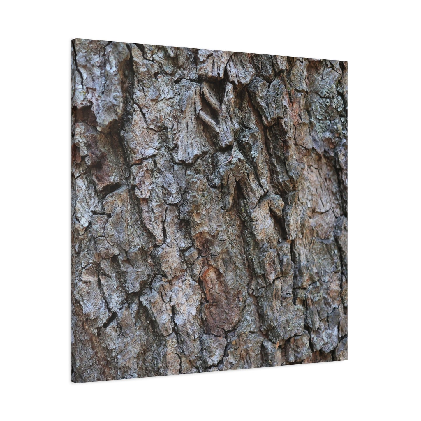 Rugged Canvas - Unique Frameless Canvas Wall Art