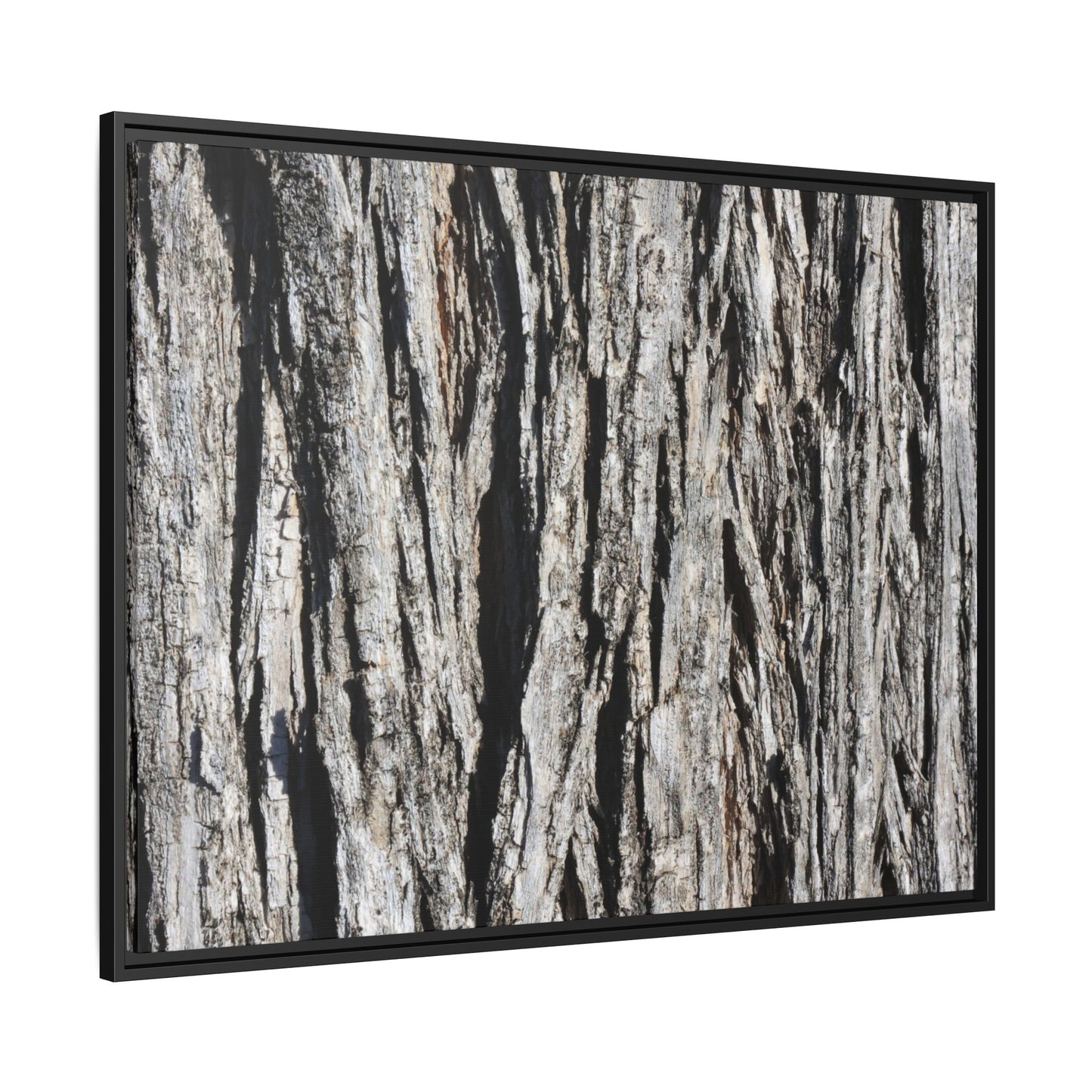 Bark Lines - Unique Stretched Canvas Wall Art