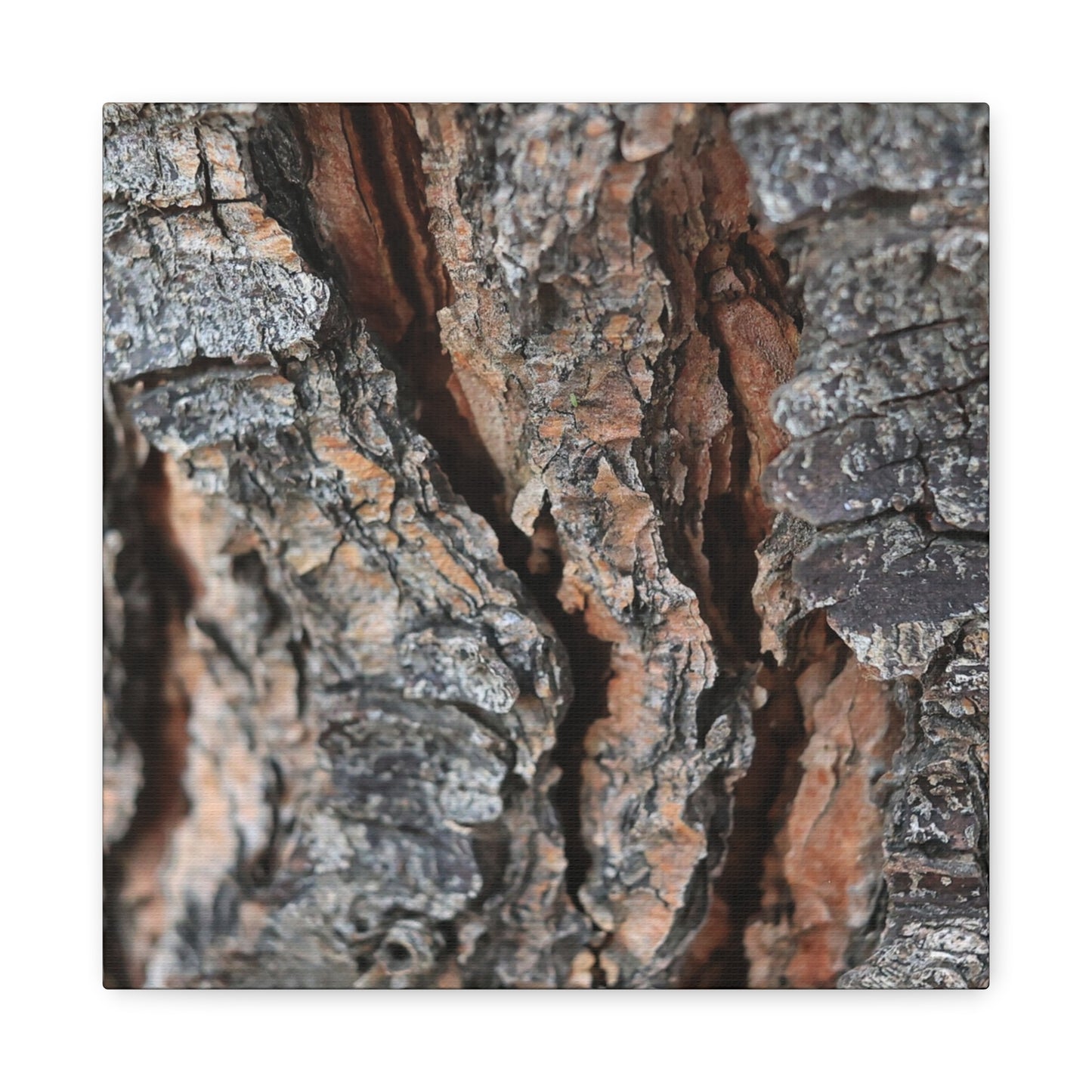 Rough Whispers - Unique Frameless Canvas Wall Art