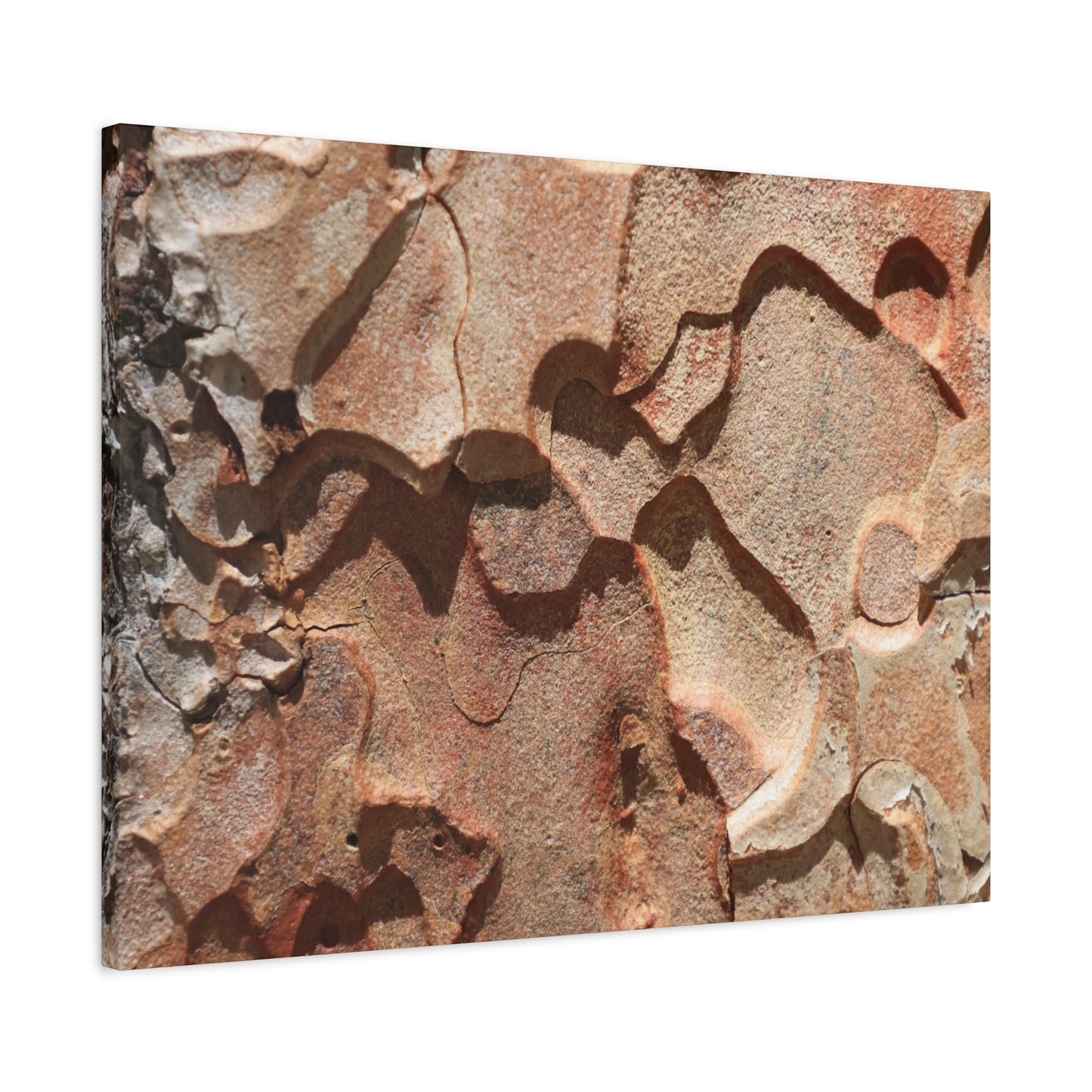 Terracotta Echoes - Unique Frameless Canvas Wall Art