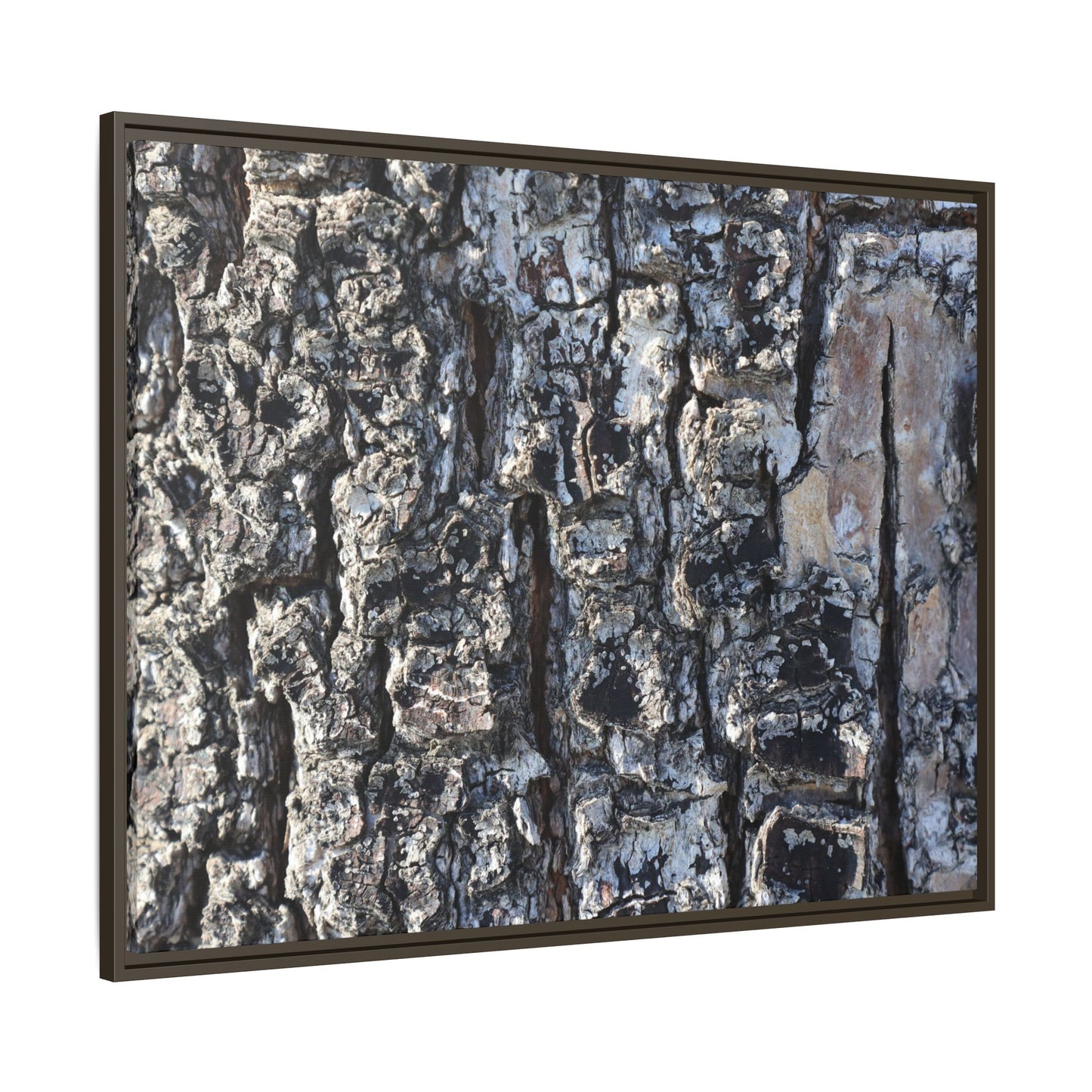 The Bark Chronicles - Unique Stretched Canvas Wall Art