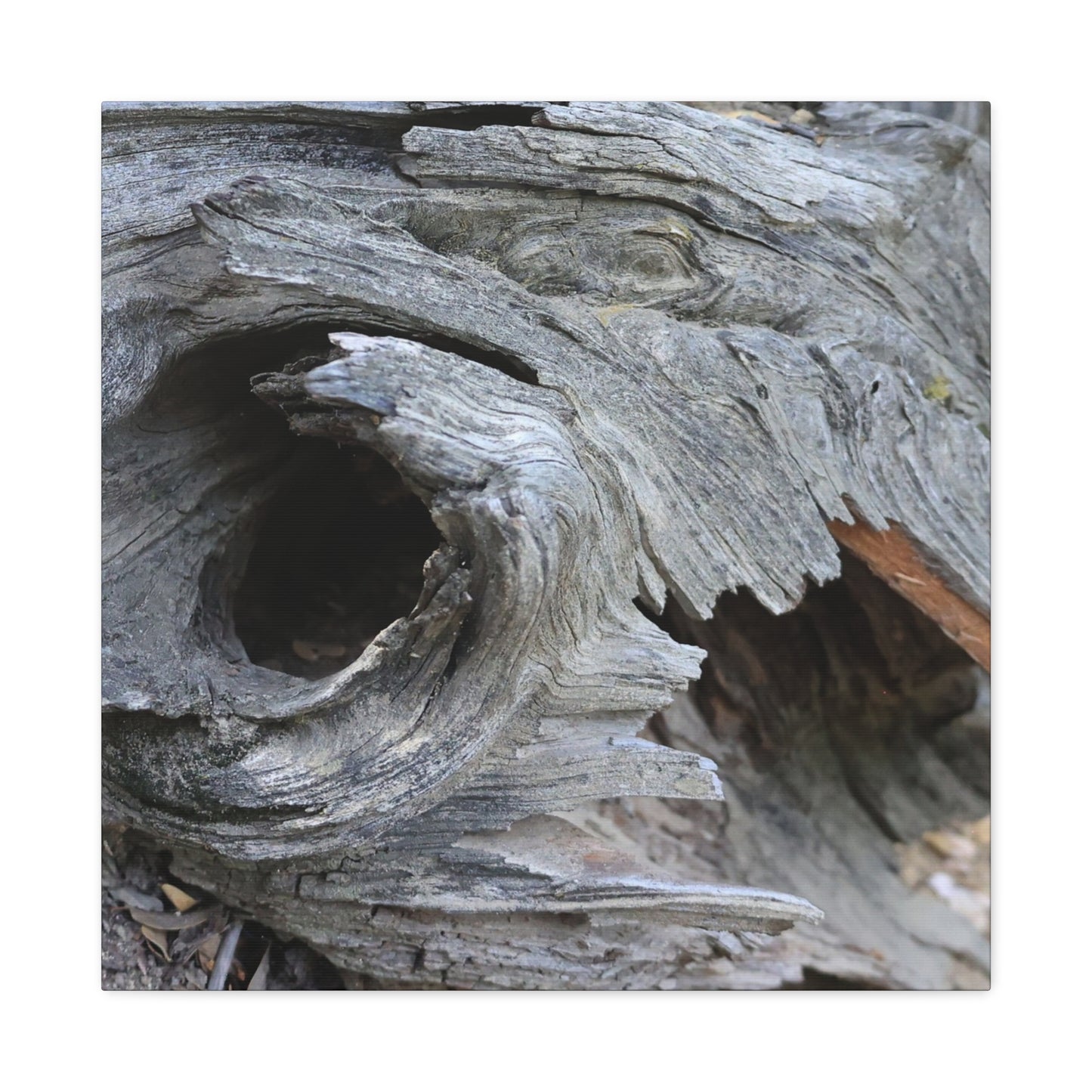 Twisted Whispers of the Forest Floor - Unique Frameless Canvas Wall Art