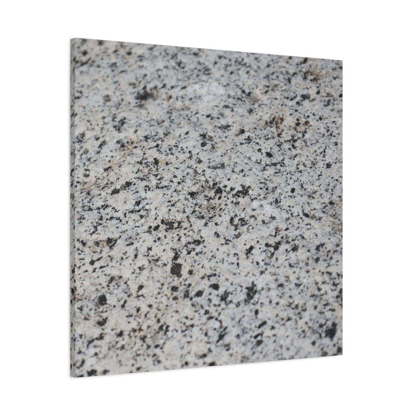 Speckled Silence - Unique Frameless Canvas Wall Art