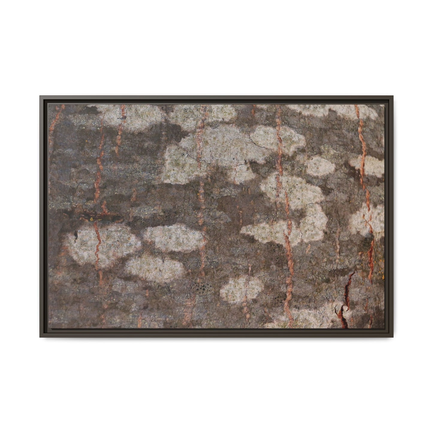 Lichen's Legacy - Unique Stretched Canvas Wall Art