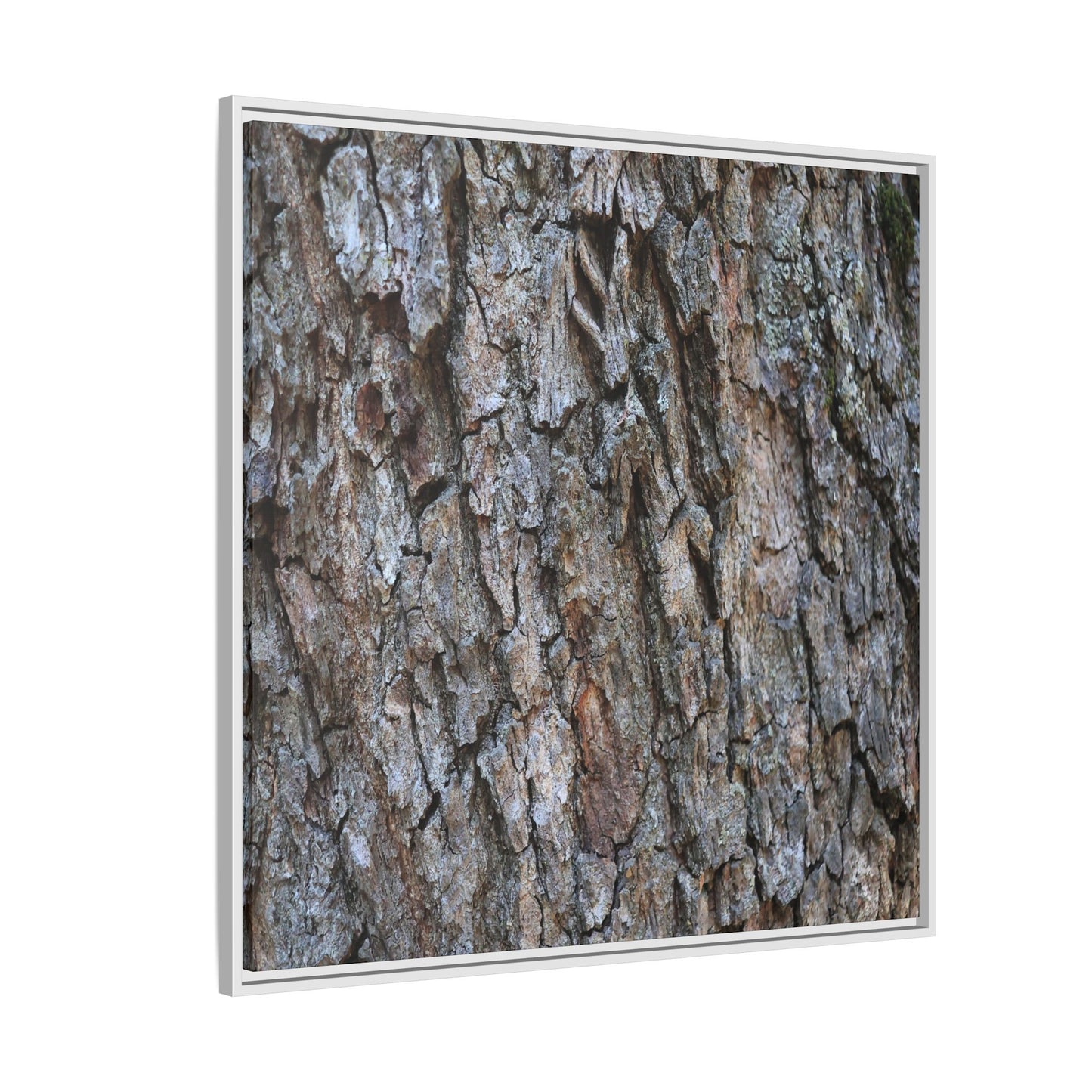 Woodland Skin - Unique Stretched Canvas Wall Art