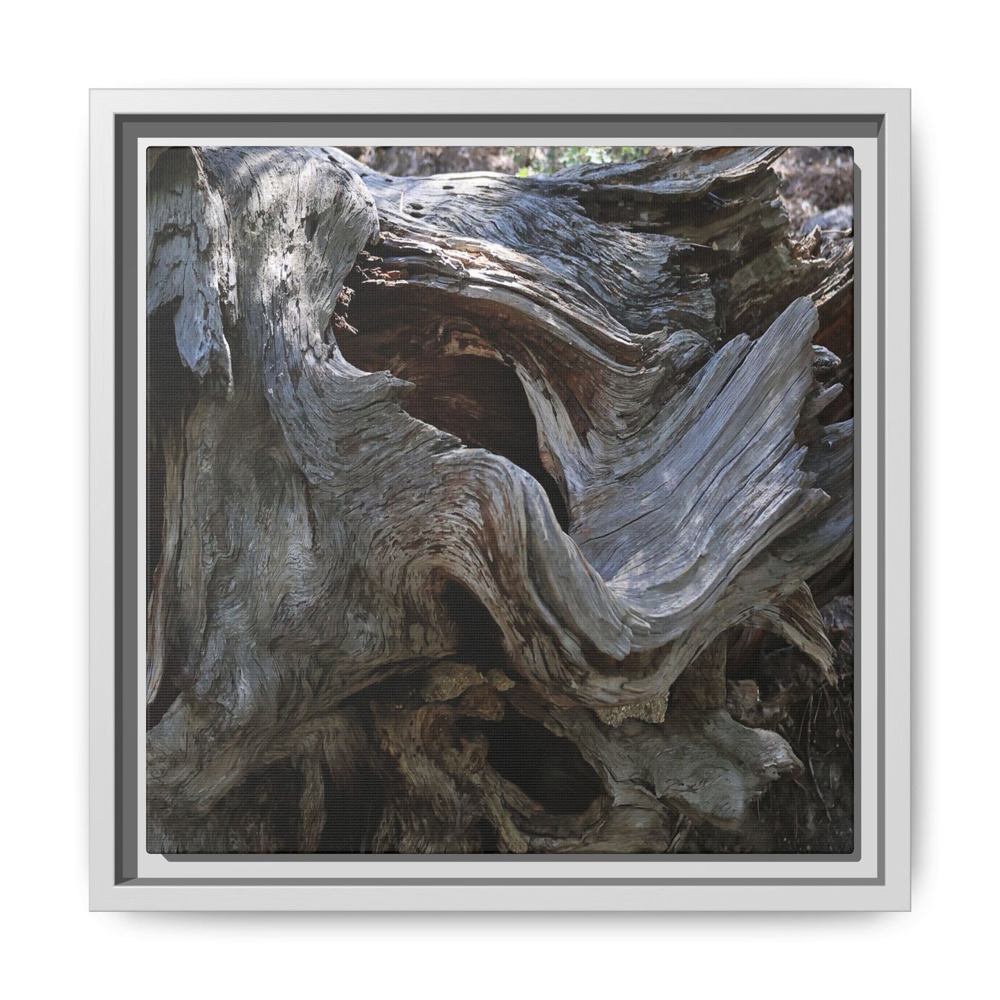 Twisted Memories - Unique Stretched Canvas Wall Art