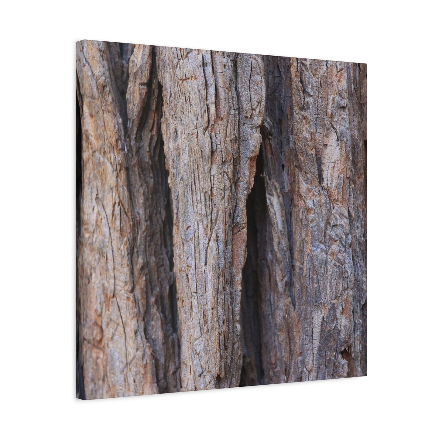 Fractal Skin - Unique Frameless Canvas Wall Art