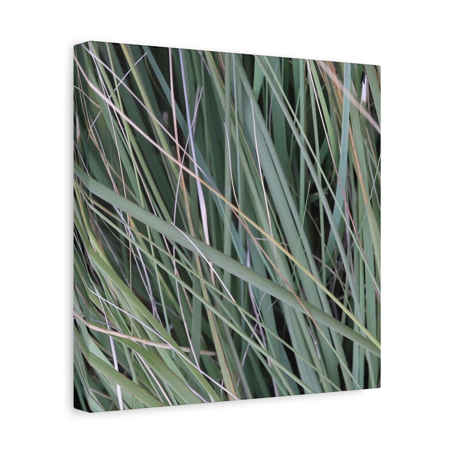 Whispers of Green - Unique Frameless Canvas Wall Art