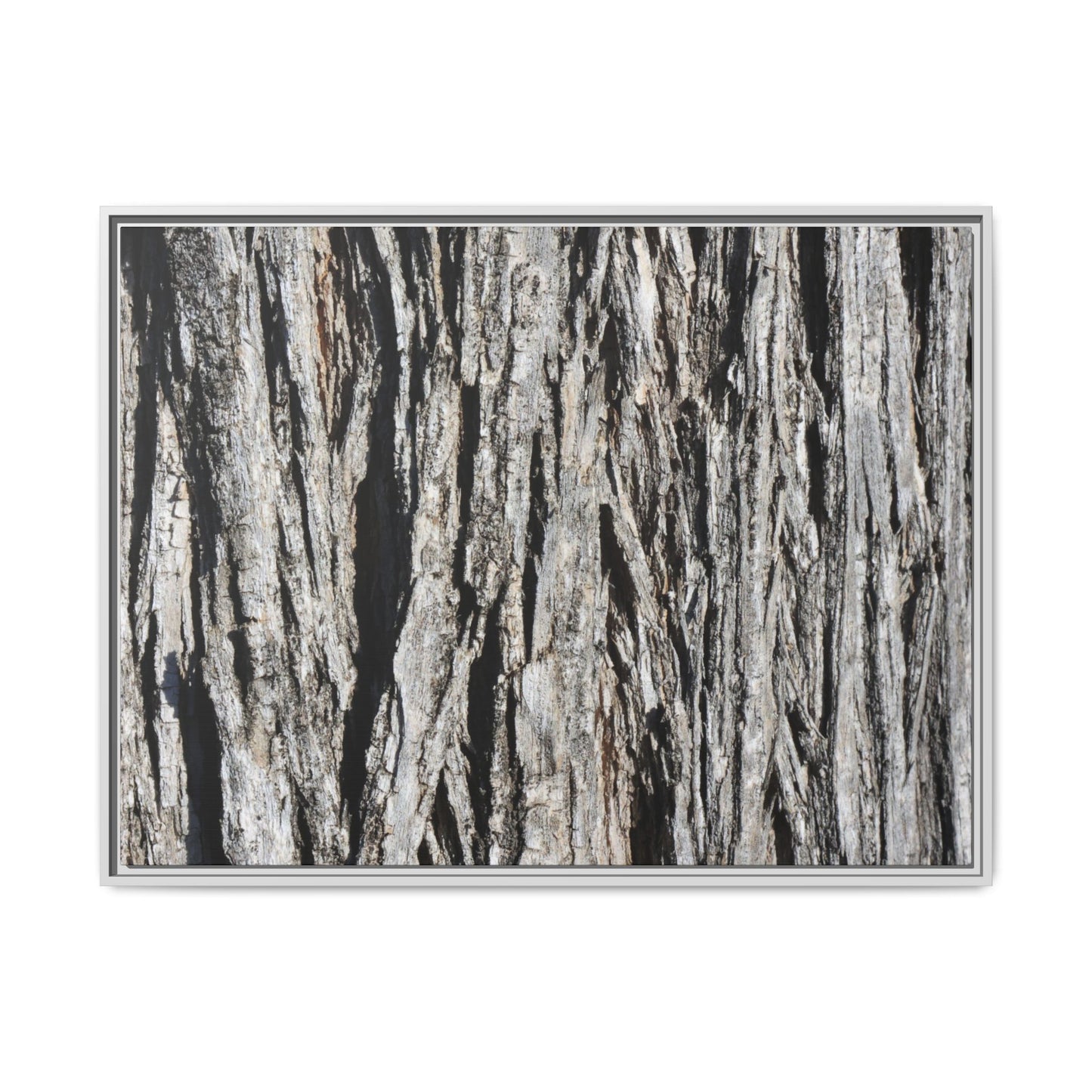 Nature's Abstract - Unique Stretched Canvas Wall Art
