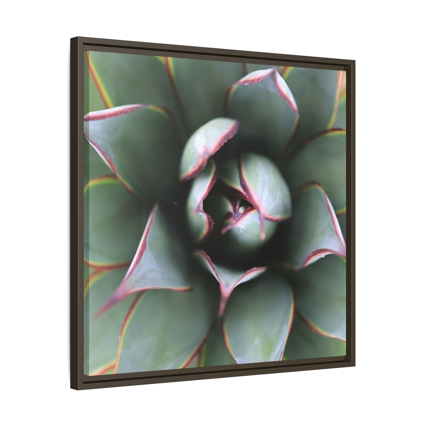 Spiky Elegance - Unique Stretched Canvas Wall Art