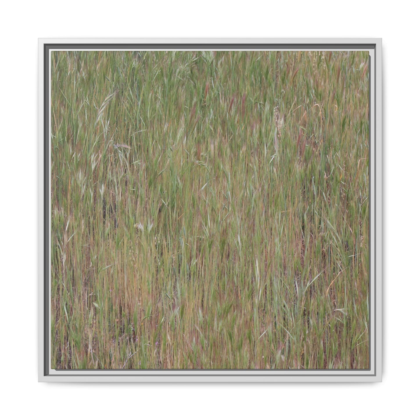 Field of Dreams - Unique Stretched Canvas Wall Art