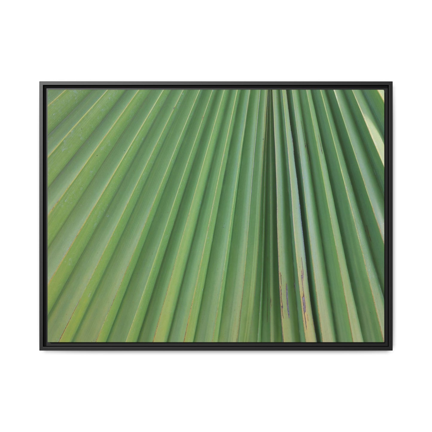 Emerald Rays - Unique Stretched Canvas Wall Art