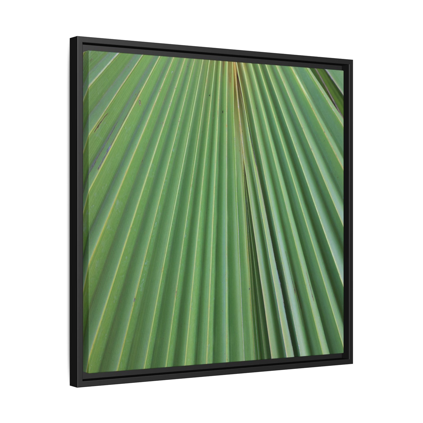 Verdant Veins - Unique Stretched Canvas Wall Art