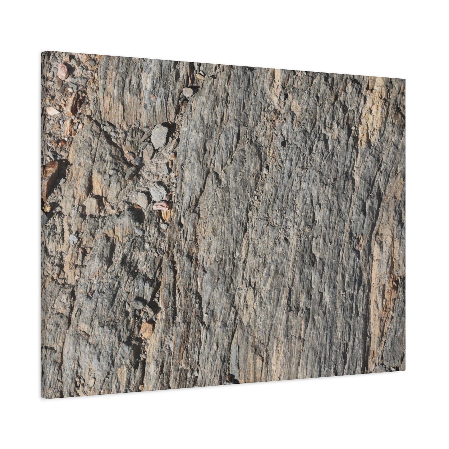 Bark Echoes - Unique Frameless Canvas Wall Art