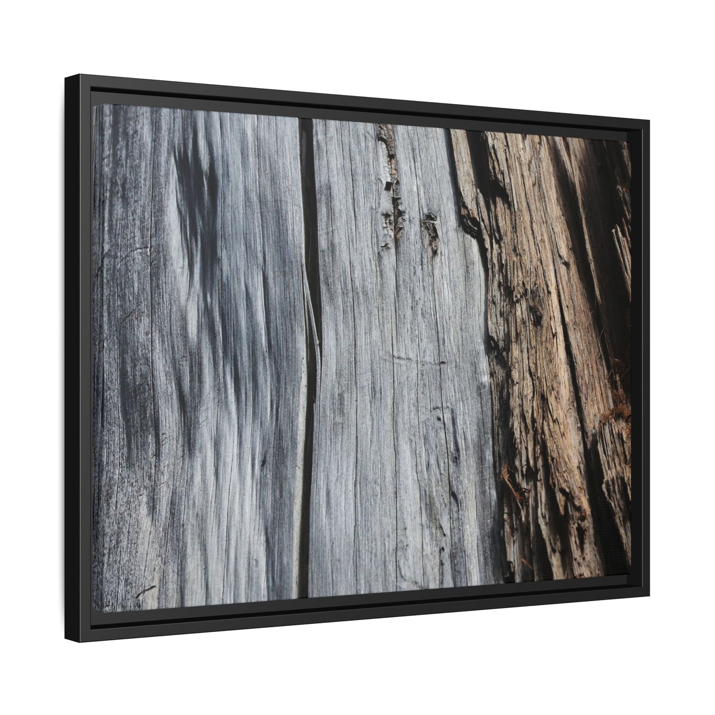 Wood's Lament - Unique Stretched Canvas Wall Art