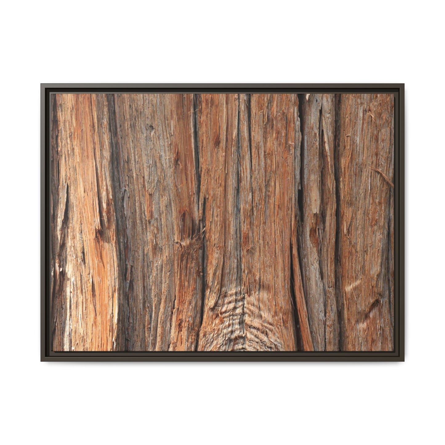 Echoes of Timber - Unique Stretched Canvas Wall Art