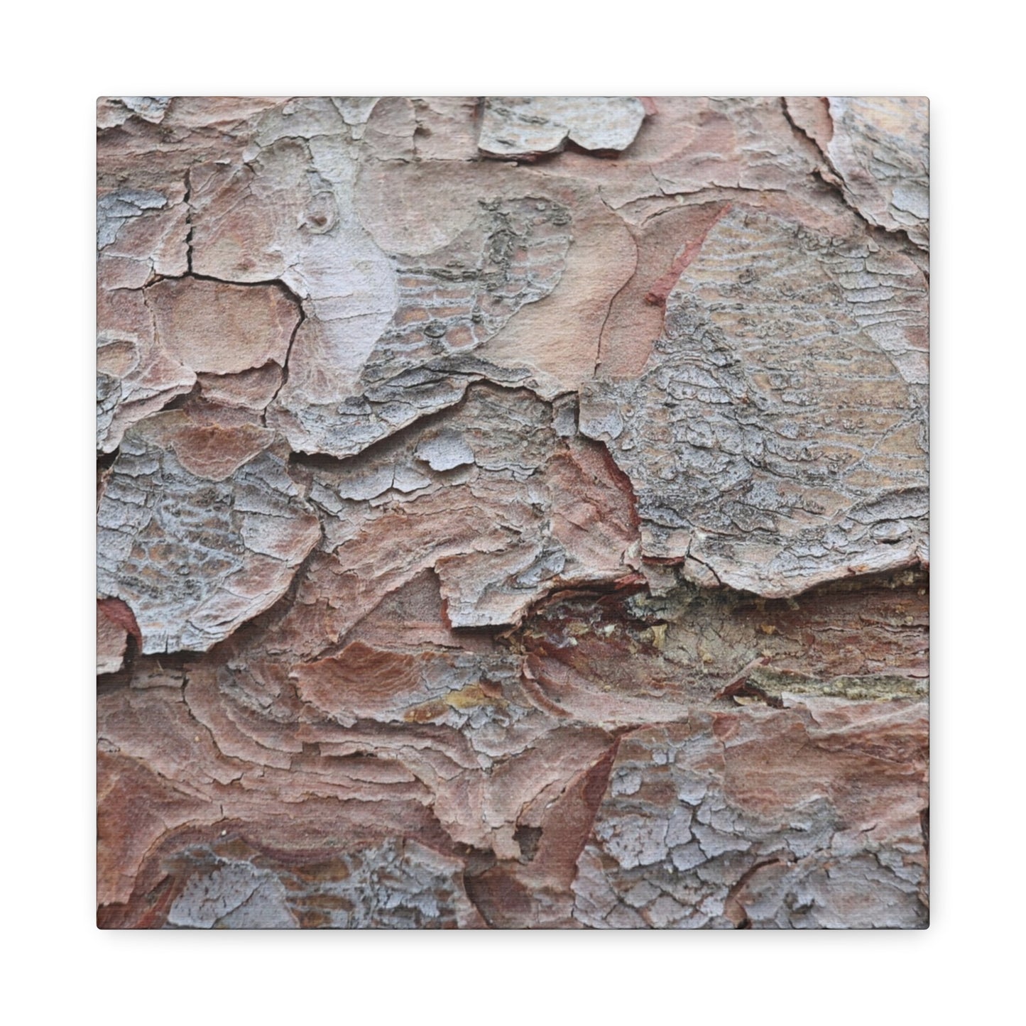 Textural Landscape - Unique Frameless Canvas Wall Art