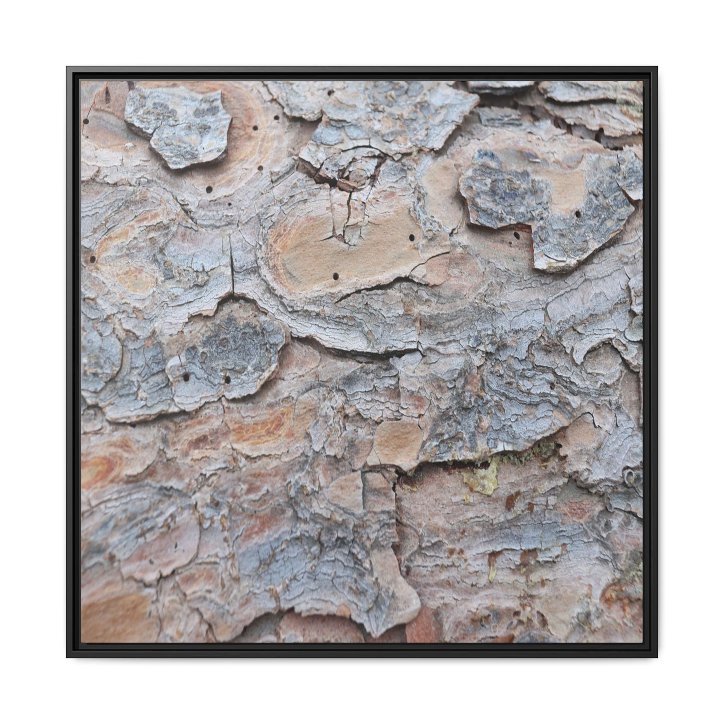 Peeling Memories - Unique Stretched Canvas Wall Art