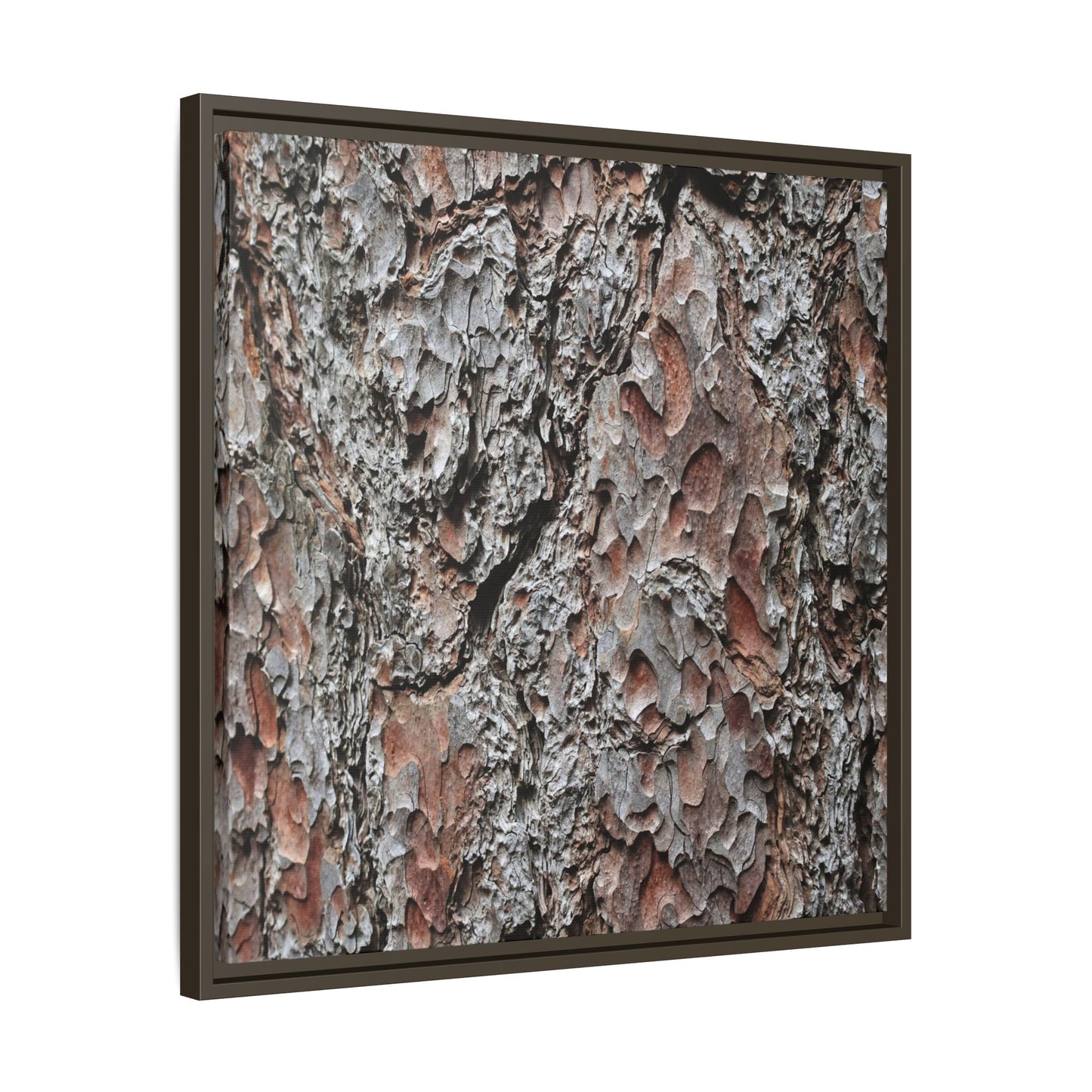 Bark Texture Symphony - Unique Stretched Canvas Wall Art