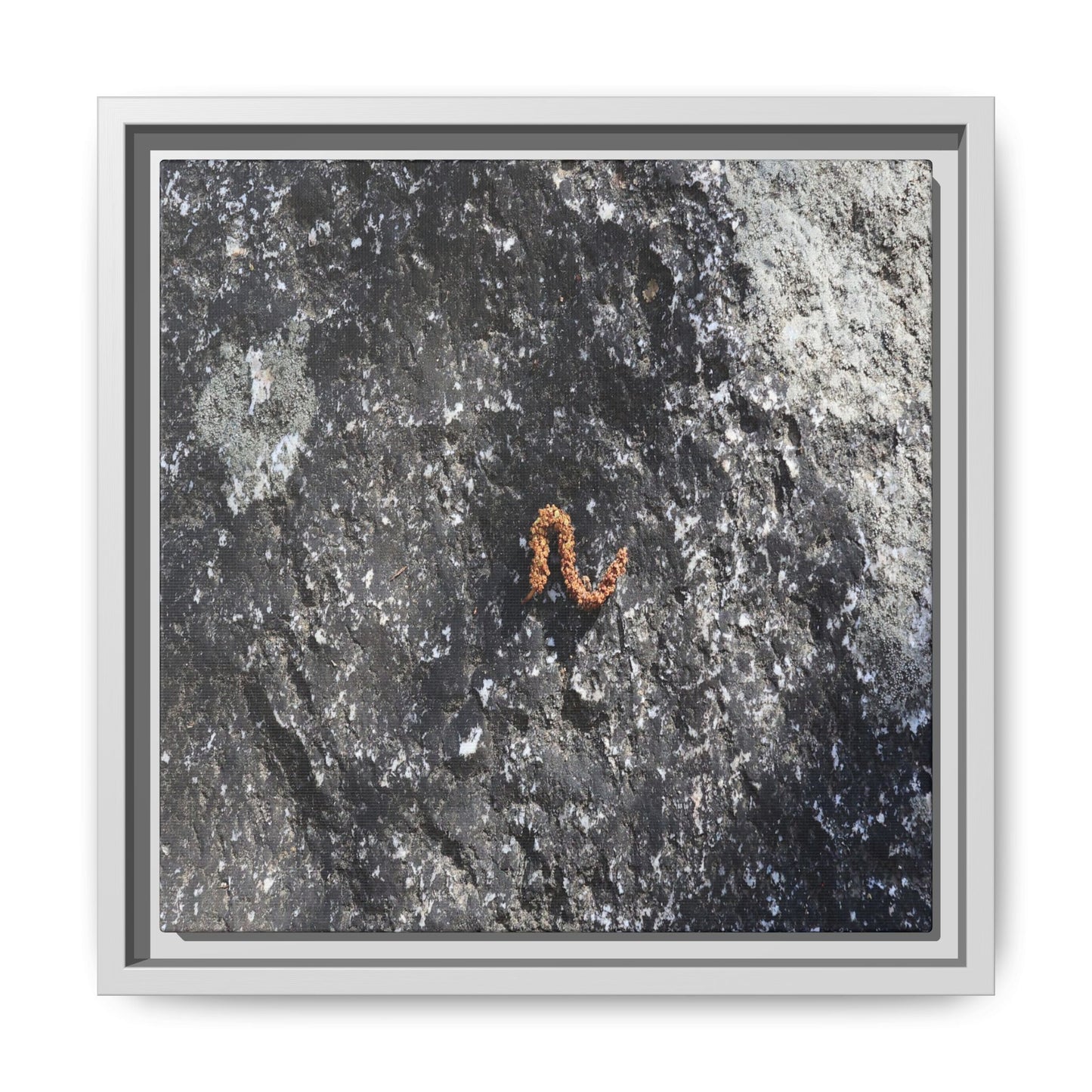 Volcanic Ash and Copper - Unique Stretched Canvas Wall Art