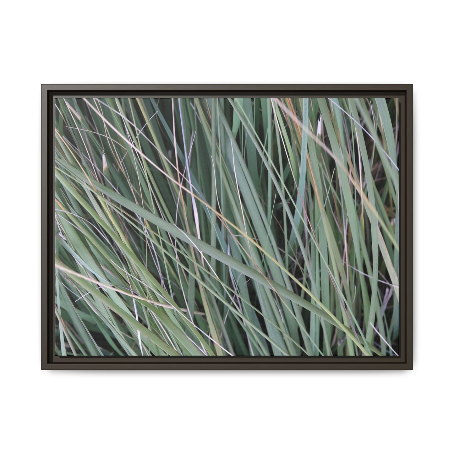 Grassland Symphony - Unique Stretched Canvas Wall Art
