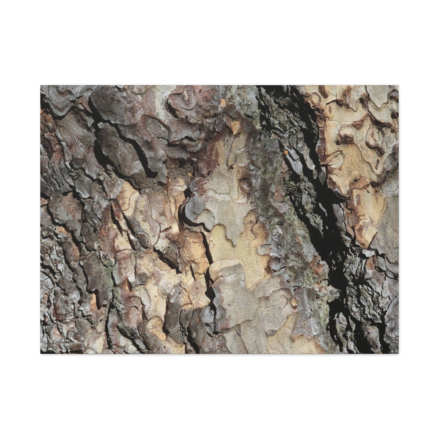 Tree Bark Symphony - Unique Frameless Canvas Wall Art