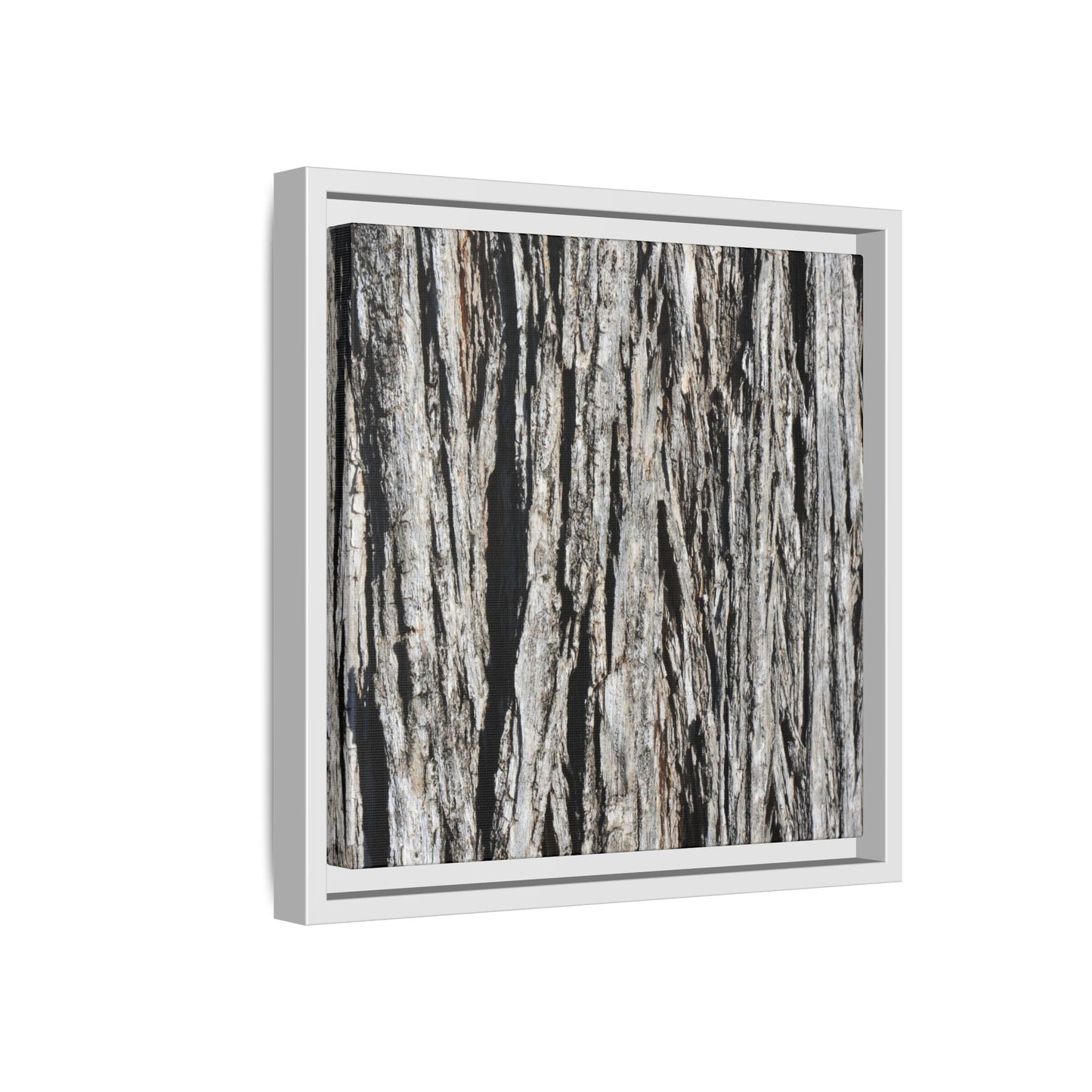 Nature's Abstract - Unique Stretched Canvas Wall Art