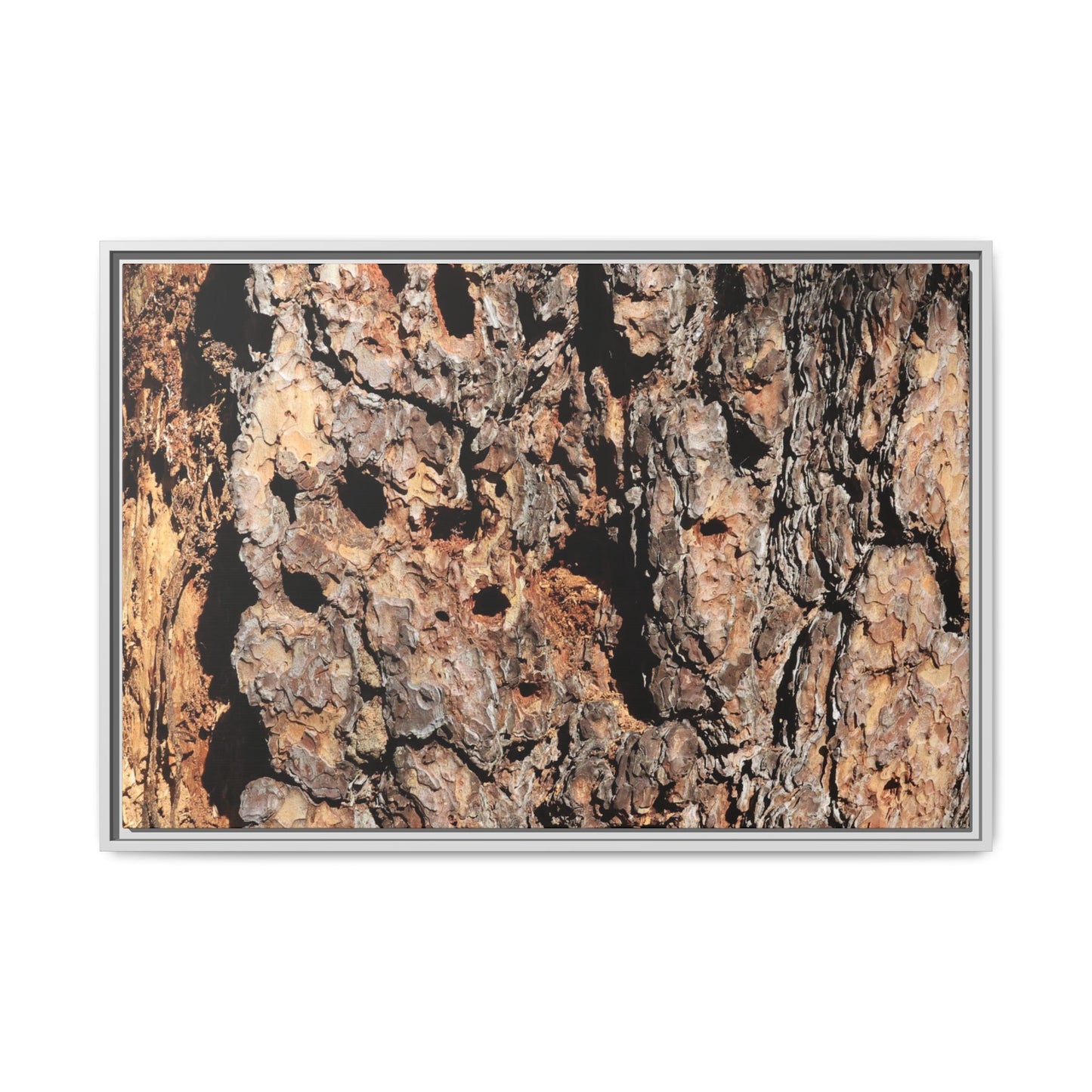 Rugged Rhythms - Unique Stretched Canvas Wall Art