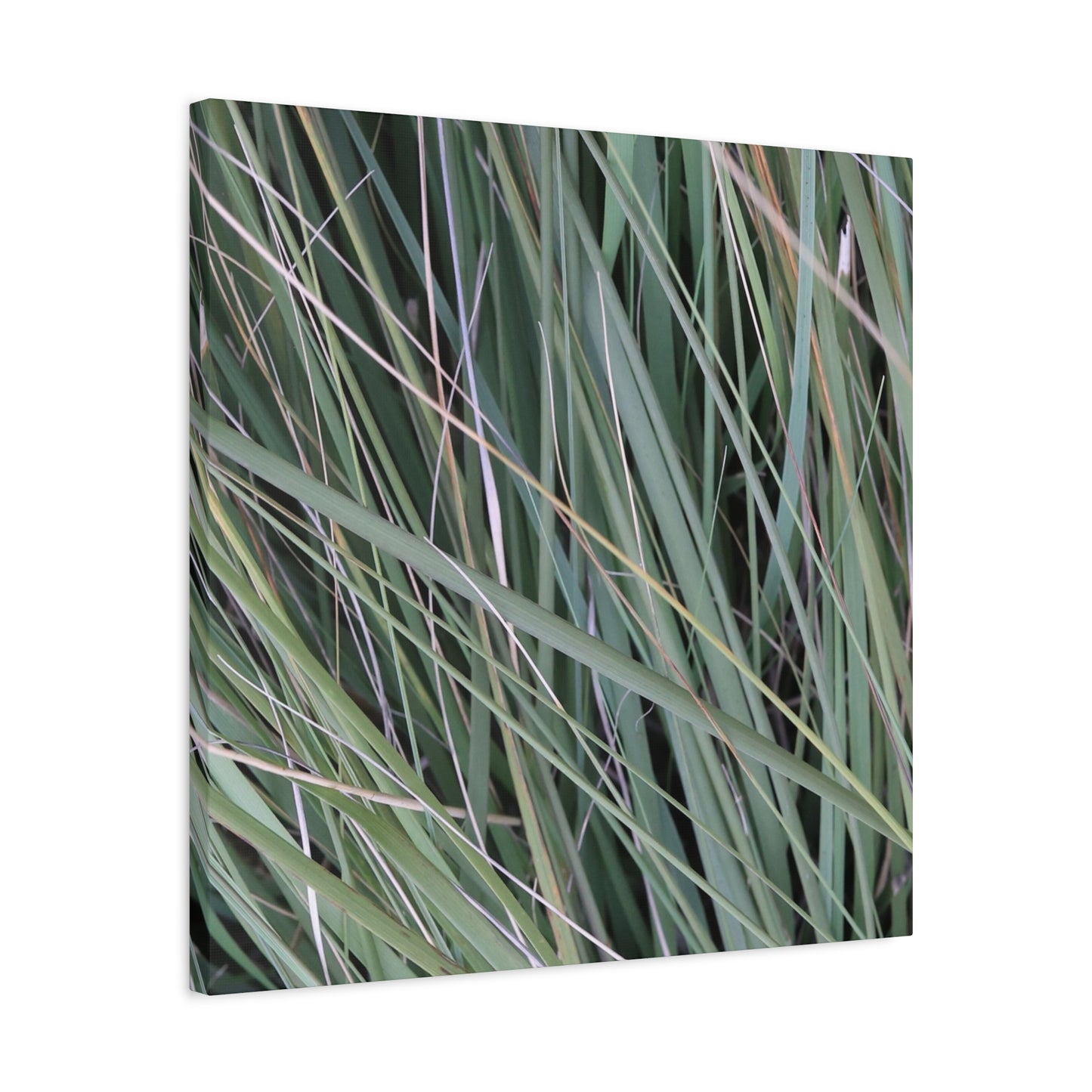 Whispers of Green - Unique Frameless Canvas Wall Art