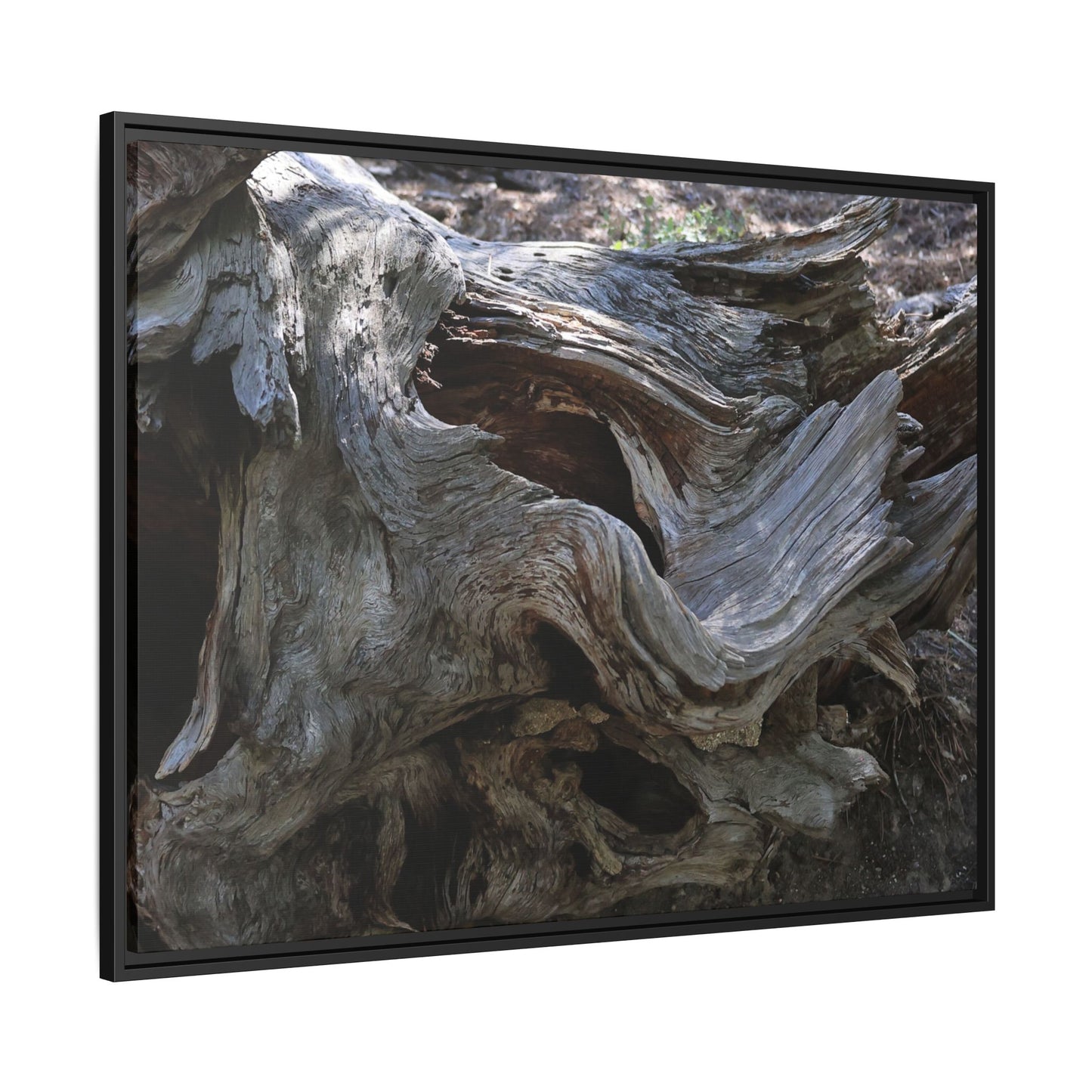Twisted Memories - Unique Stretched Canvas Wall Art
