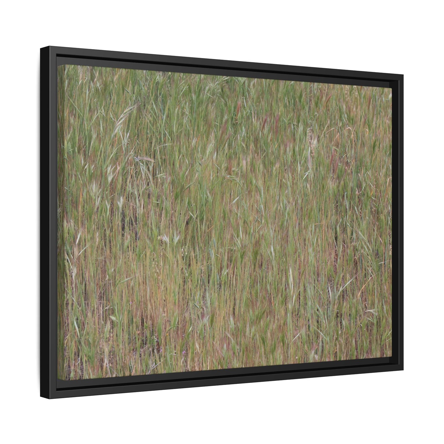 Field of Dreams - Unique Stretched Canvas Wall Art