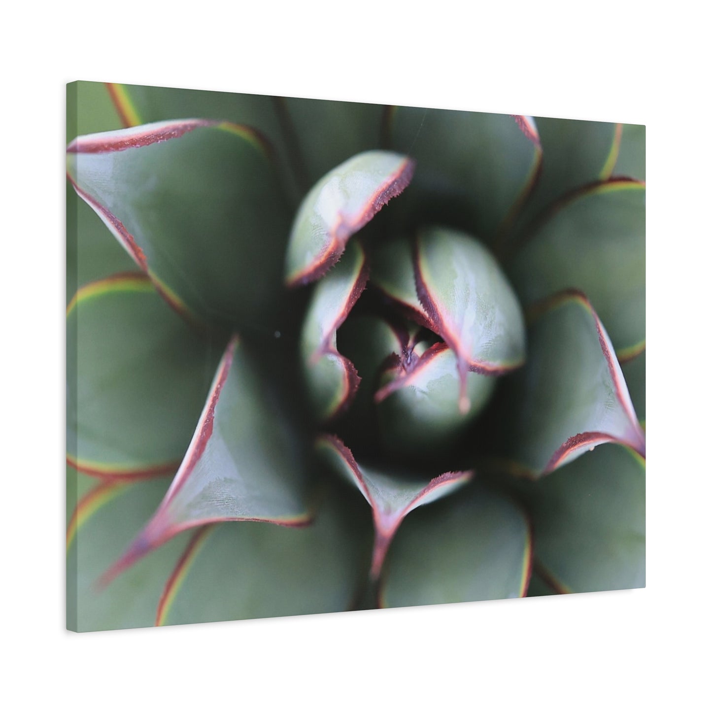 Emerald Spiral - Unique Frameless Canvas Wall Art
