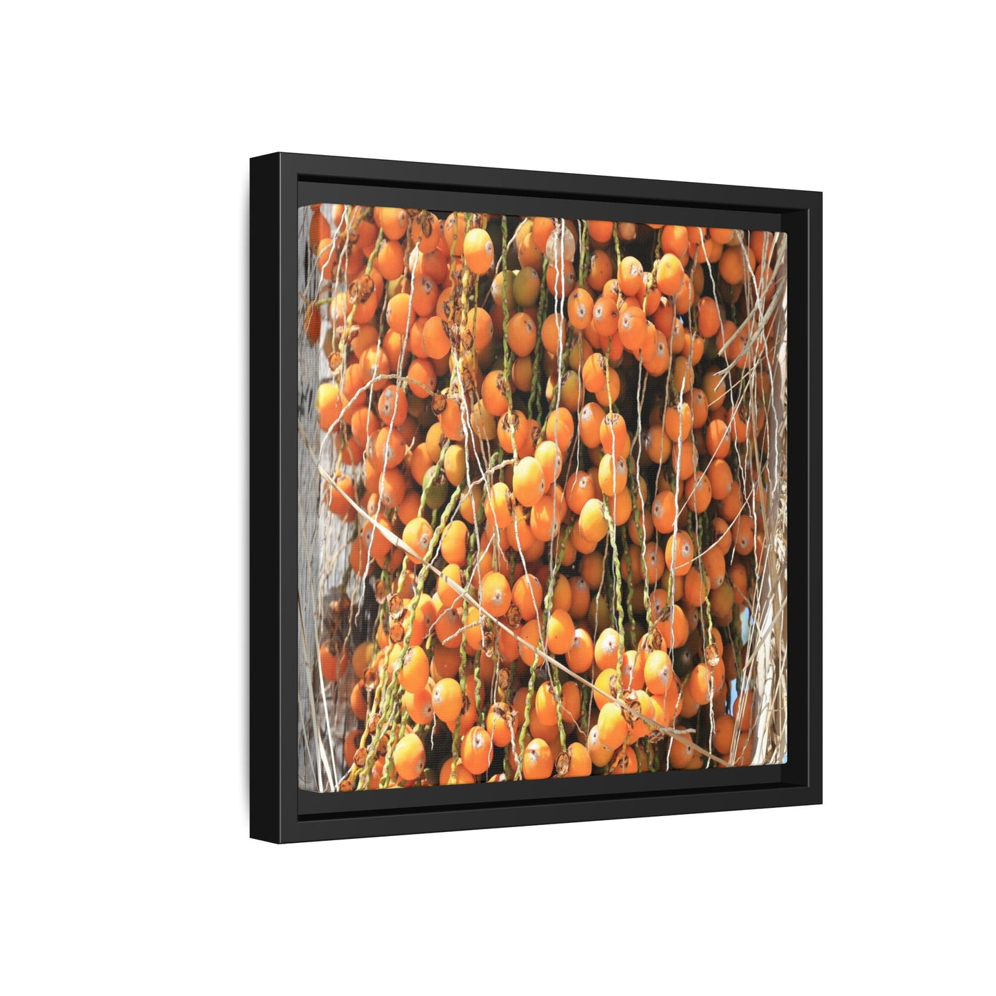 Clusters of Sunlight - Unique Canvas Wall Art