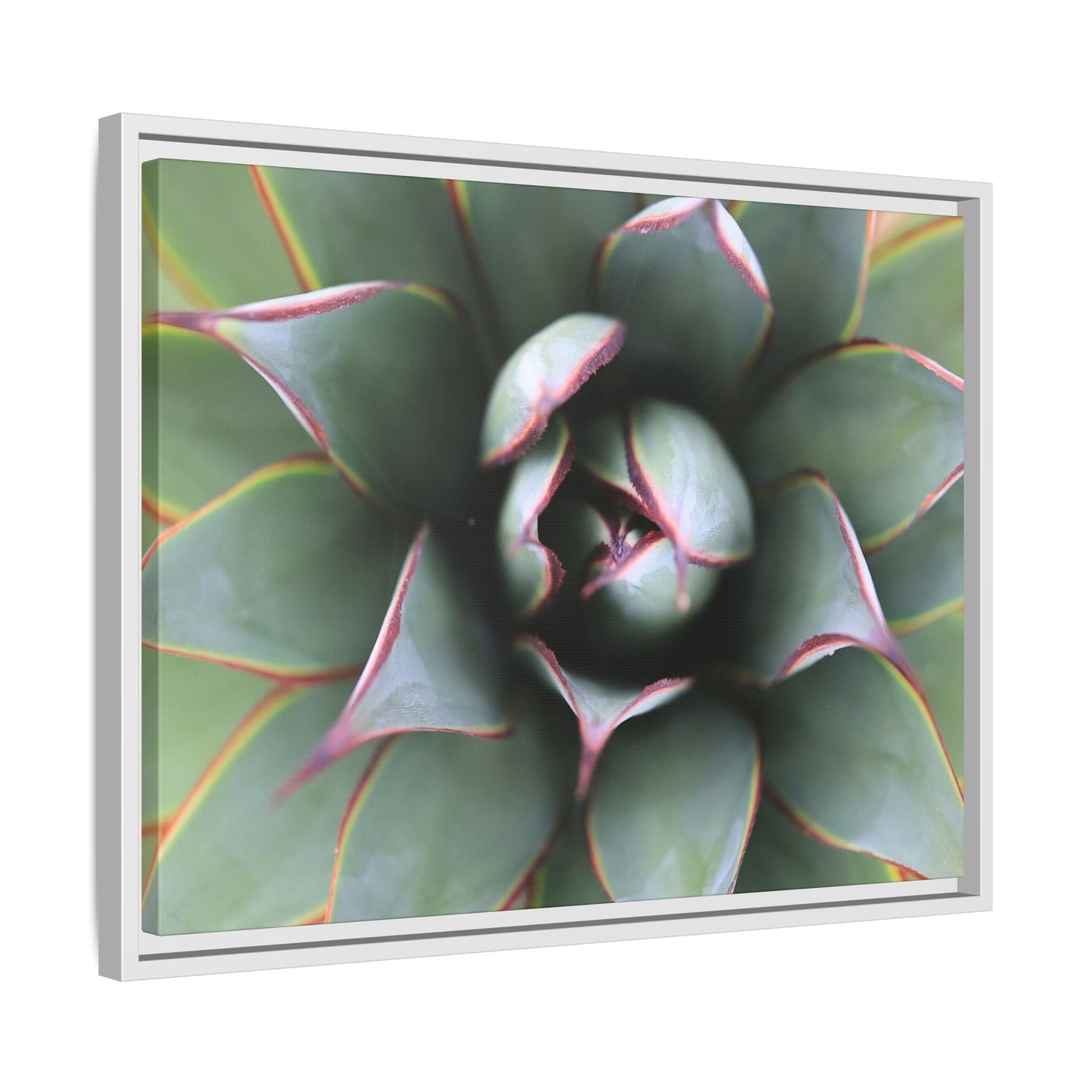 Spiky Elegance - Unique Stretched Canvas Wall Art