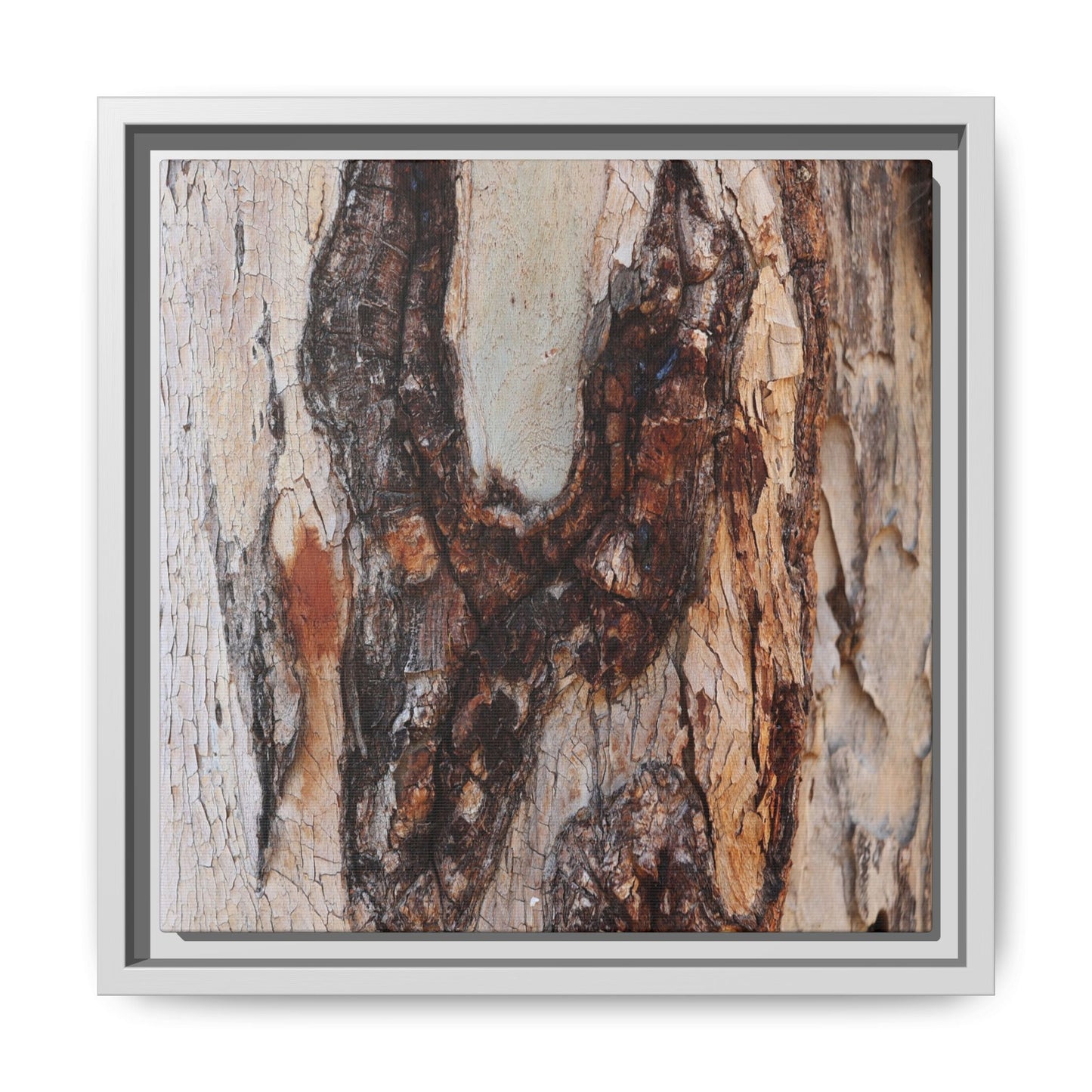 Texture of Time - Unique Stretched Canvas Wall Art