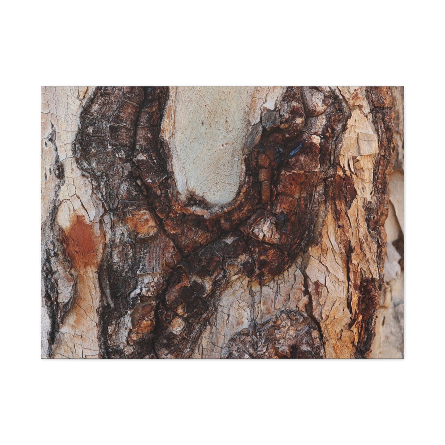 Arboreal Echoes - Unique Frameless Canvas Wall Art