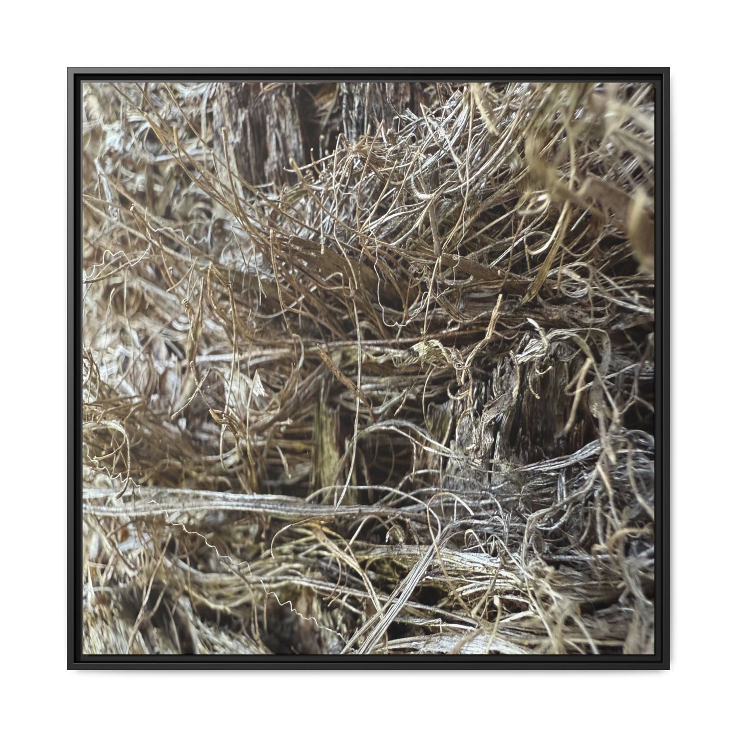 Tangled Whispers of Autumn - Unique Stretched Canvas Wall Art