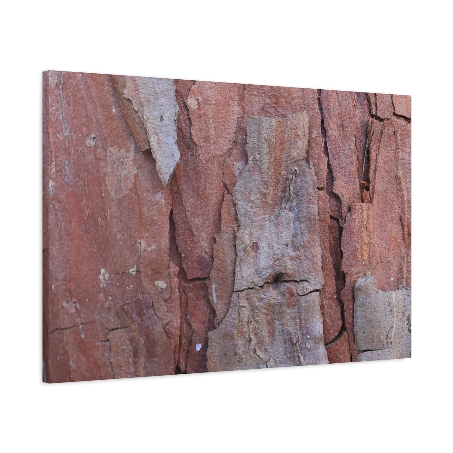Fractal Rust - Unique Frameless Canvas Wall Art