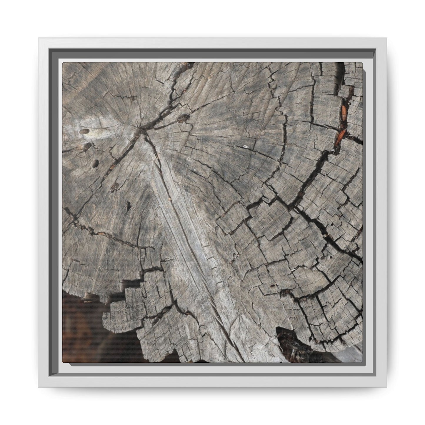 Time's Signature - Unique Stretched Canvas Wall Art