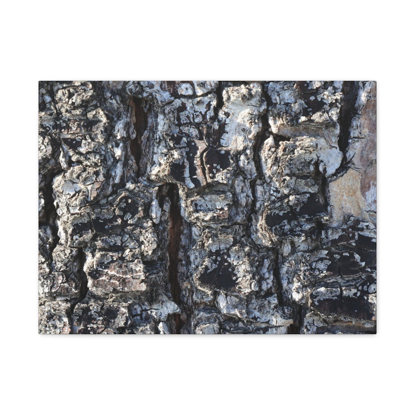 Textured Whispers of the Ancient Tree - Unique Frameless Canvas Wall Art
