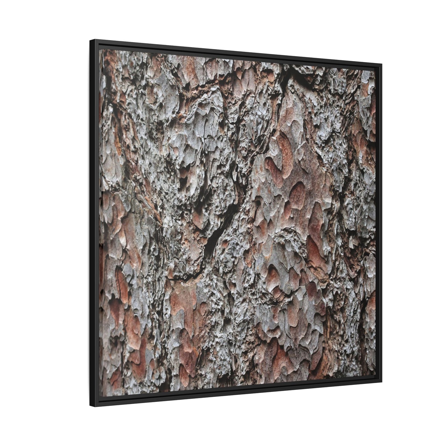 Bark Texture Symphony - Unique Stretched Canvas Wall Art