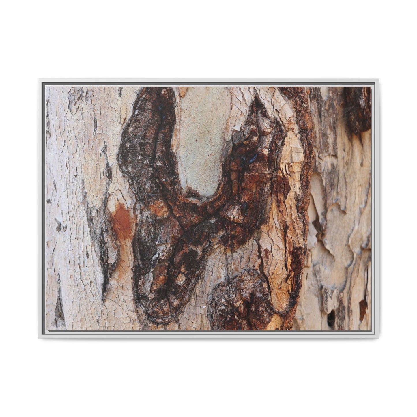 Texture of Time - Unique Stretched Canvas Wall Art